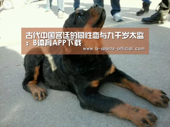 B体育