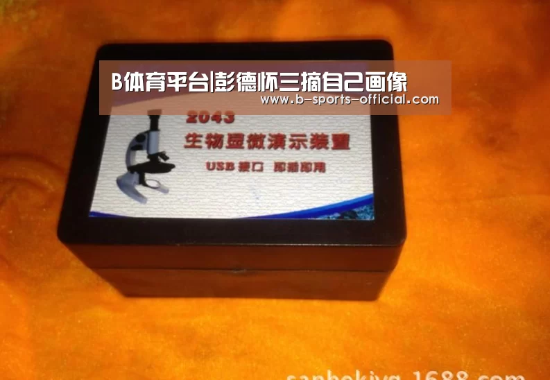B体育平台|彭德怀三摘自己画像(图3) B体育APP下载