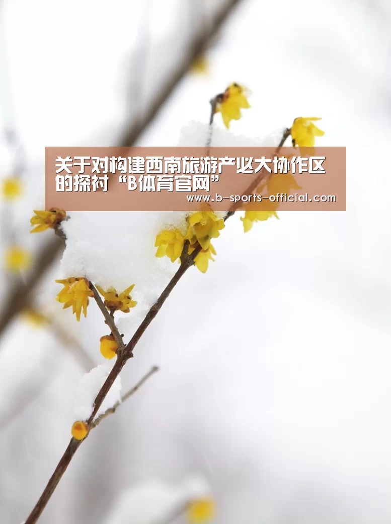 关于对构建西南旅游产必大协作区的探衬“B体育官网”(图1) B体育APP下载
