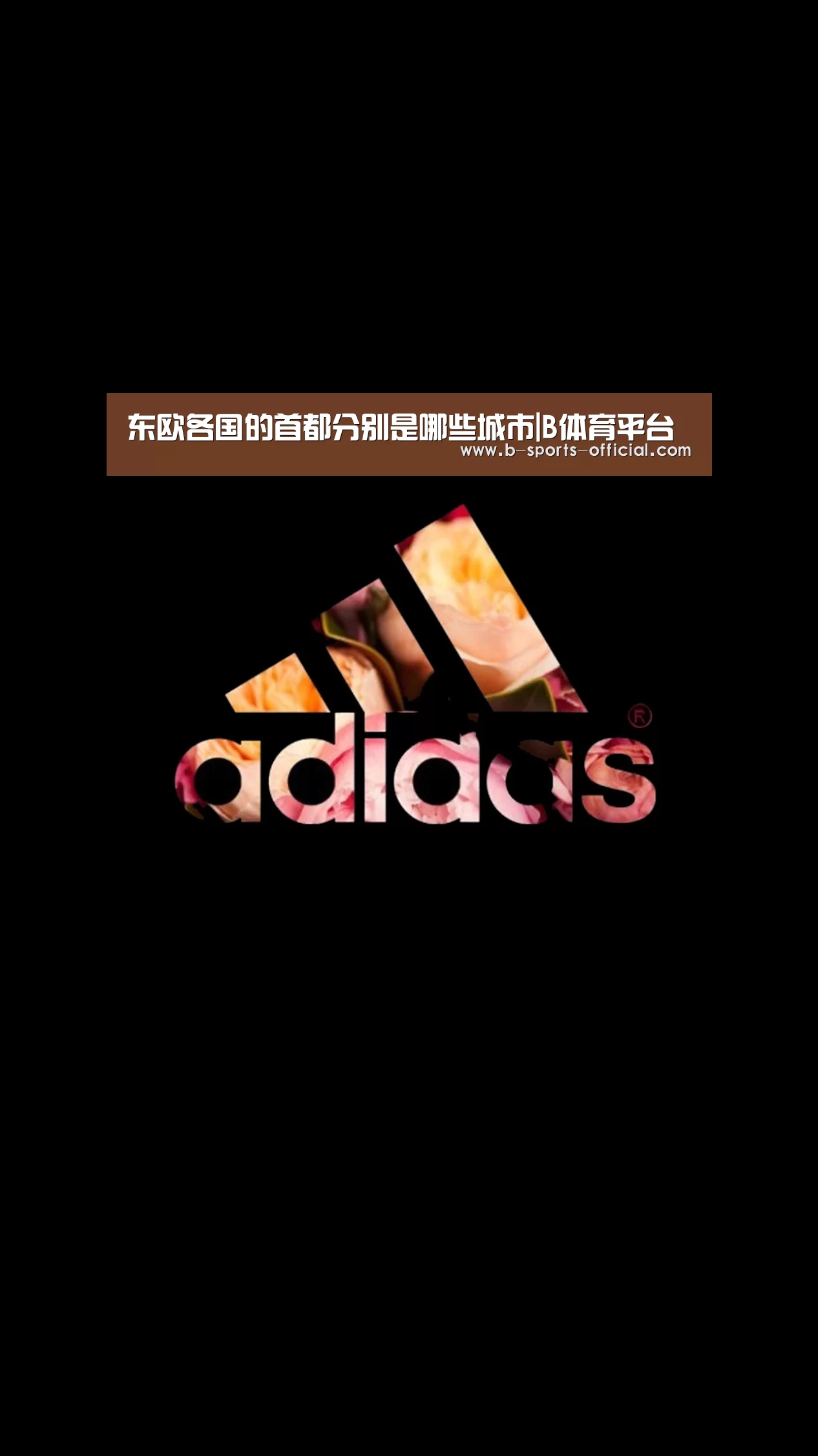 B体育平台