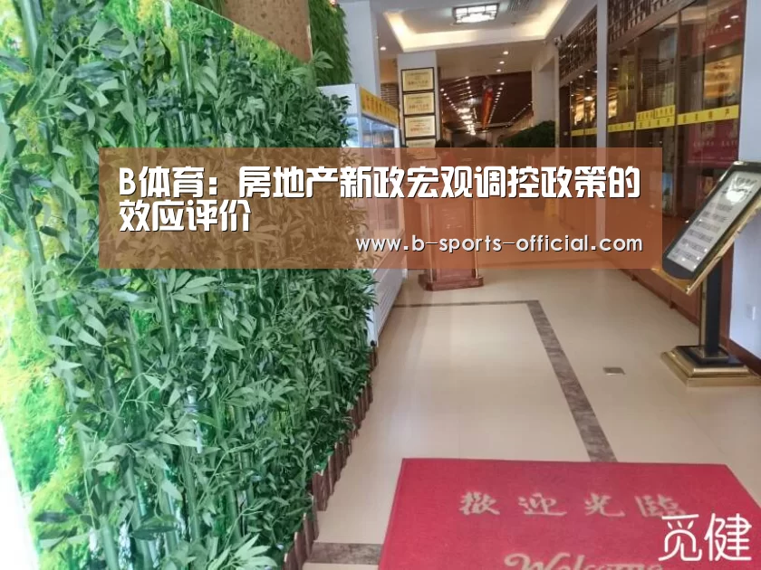 B体育:房地产新政宏观调控政策的效应评价(图1) B体育