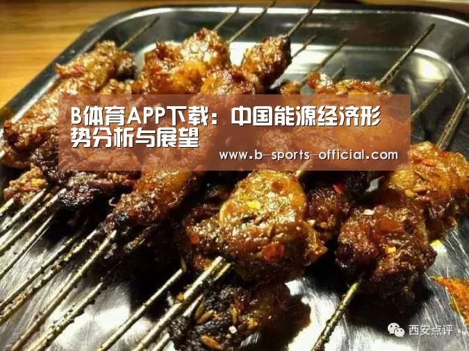 B体育APP下载:中国能源经济形势分析与展望(图1) B体育APP下载