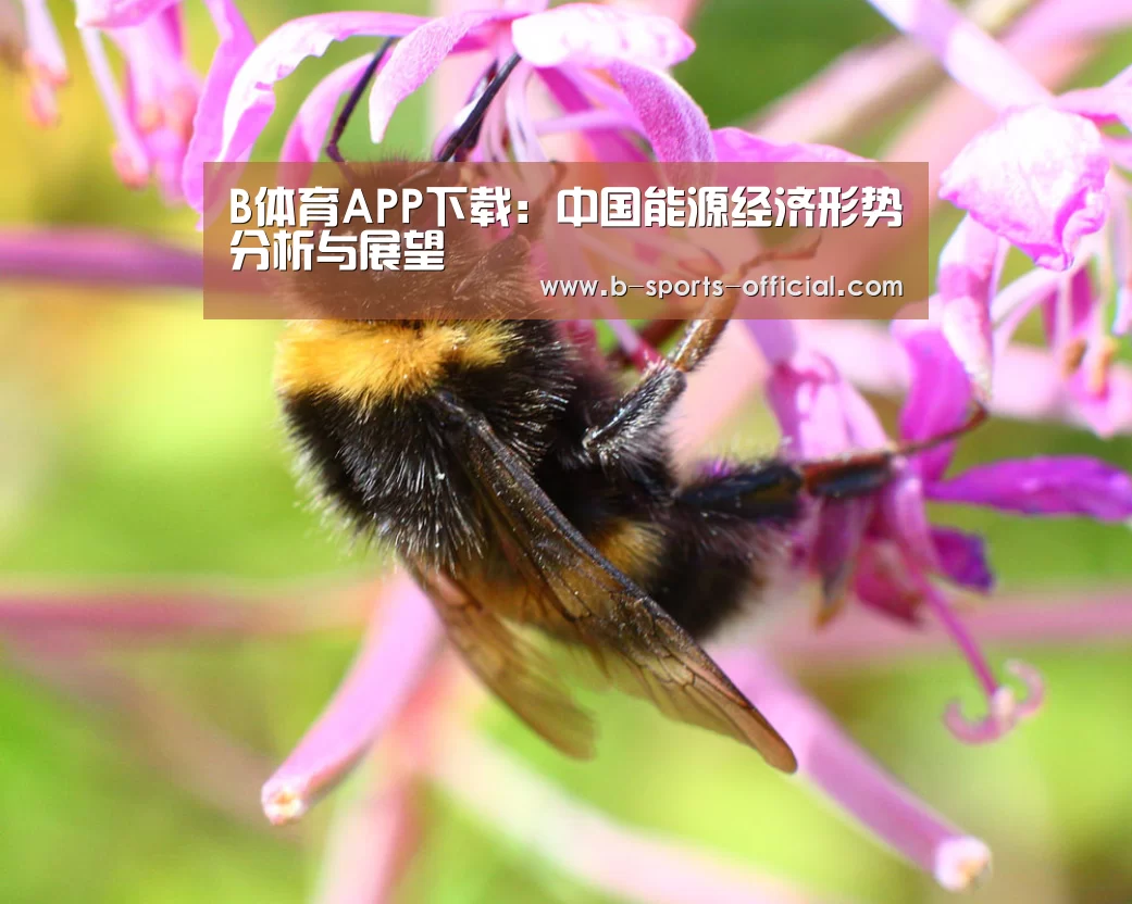 B体育APP下载:中国能源经济形势分析与展望(图2) B体育APP下载