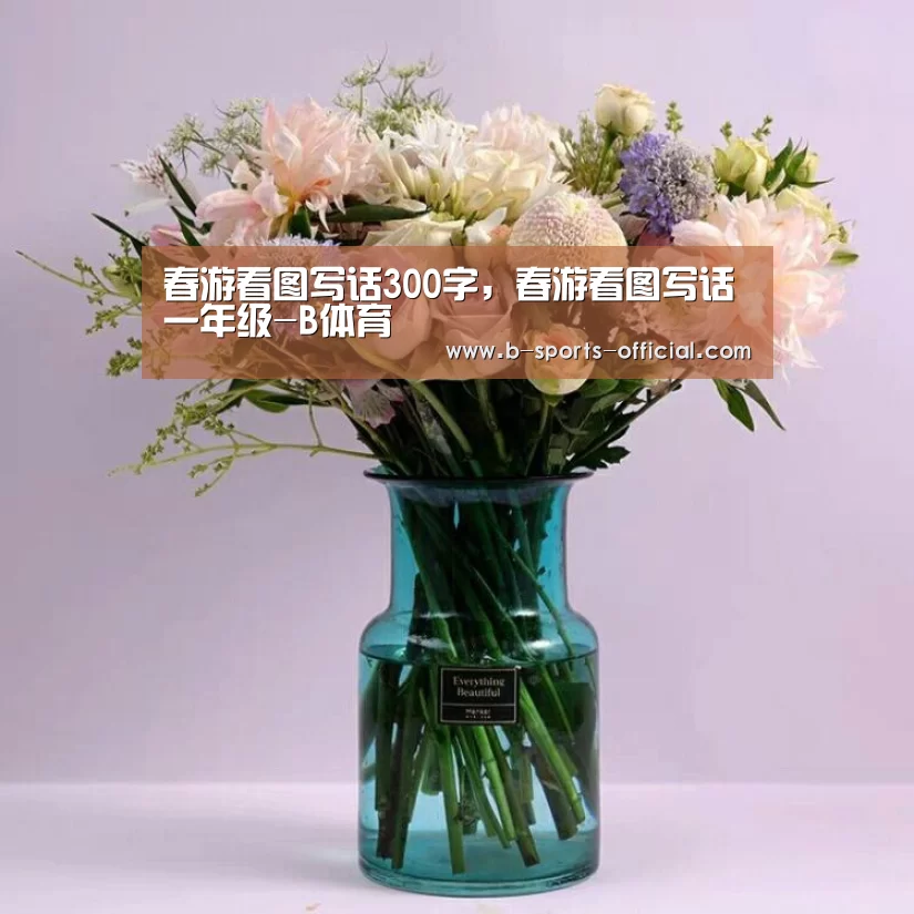 B体育